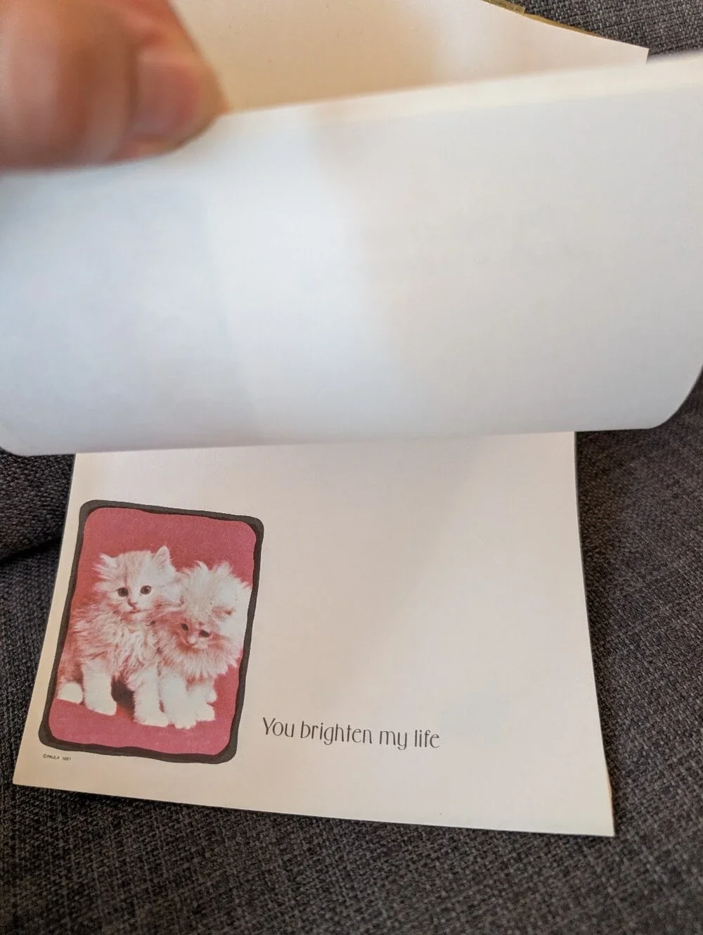 Vintage Cat & Dog Notepad!